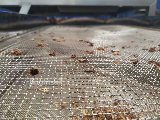 5,5 kW Przemysł spożywczy Carob Ss304 Maszyny do sortowania nasion 99 procent nasion usuniętych
